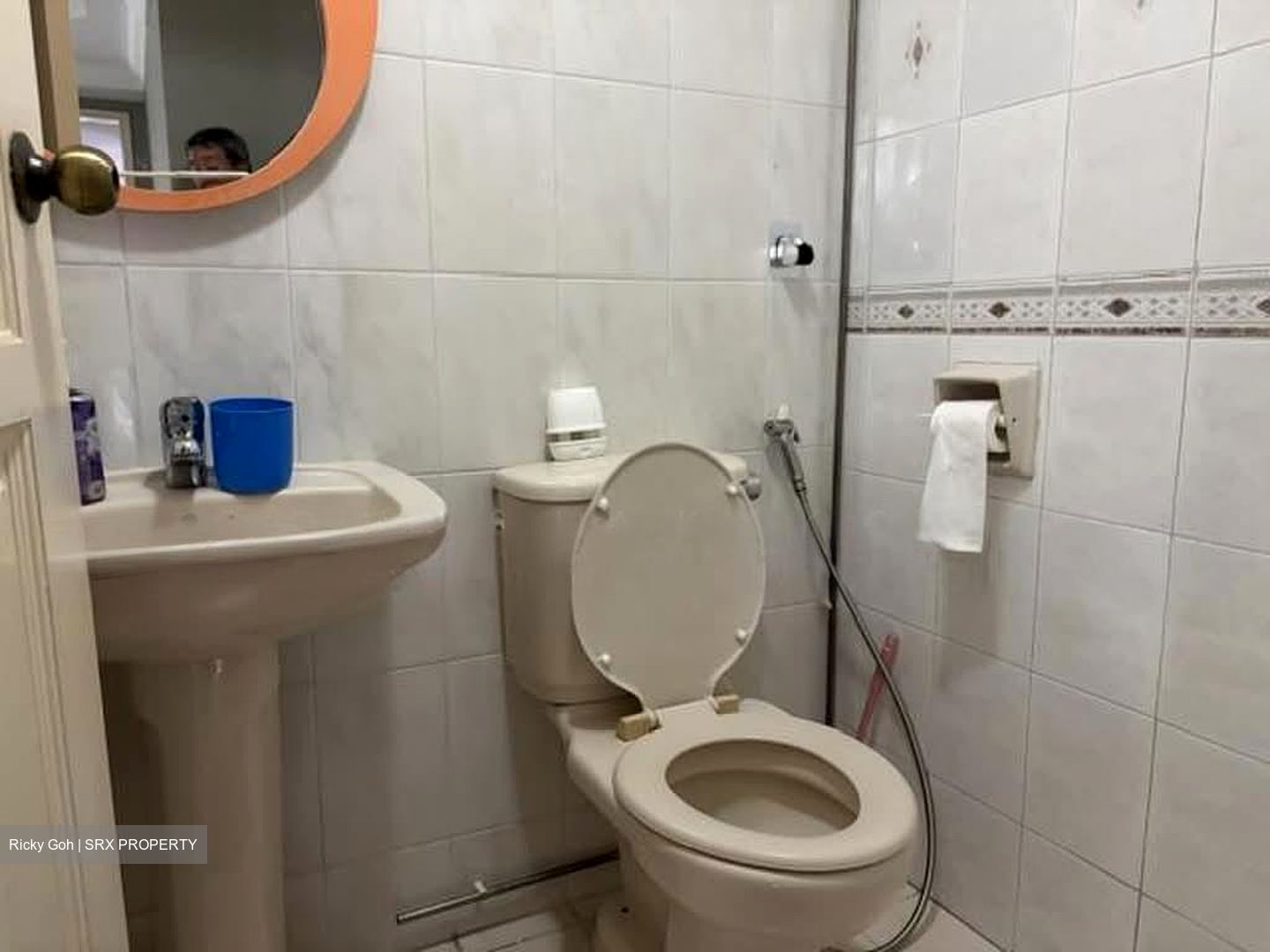 The Tanamera (D16), Condominium #571868511